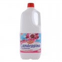 CANDEGGINA PROFUMATA 2 LT